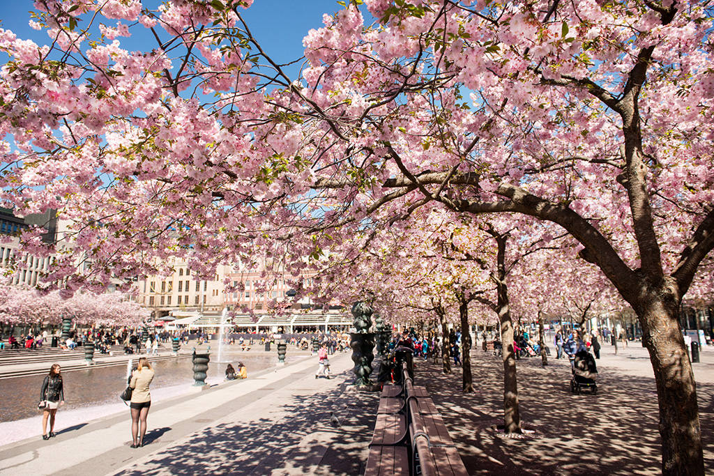 Kungsträdgården in Stockholm